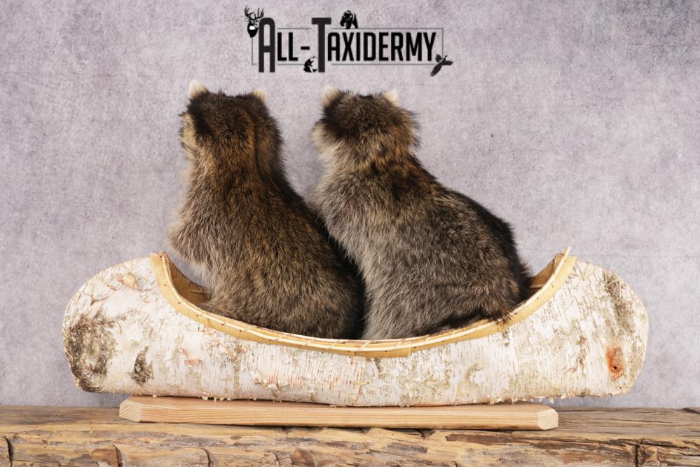 2 Raccoons in a Canoe SKU 3091 - Image 2