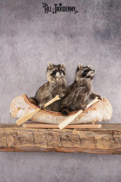 2 Raccoons in a Canoe SKU 3093