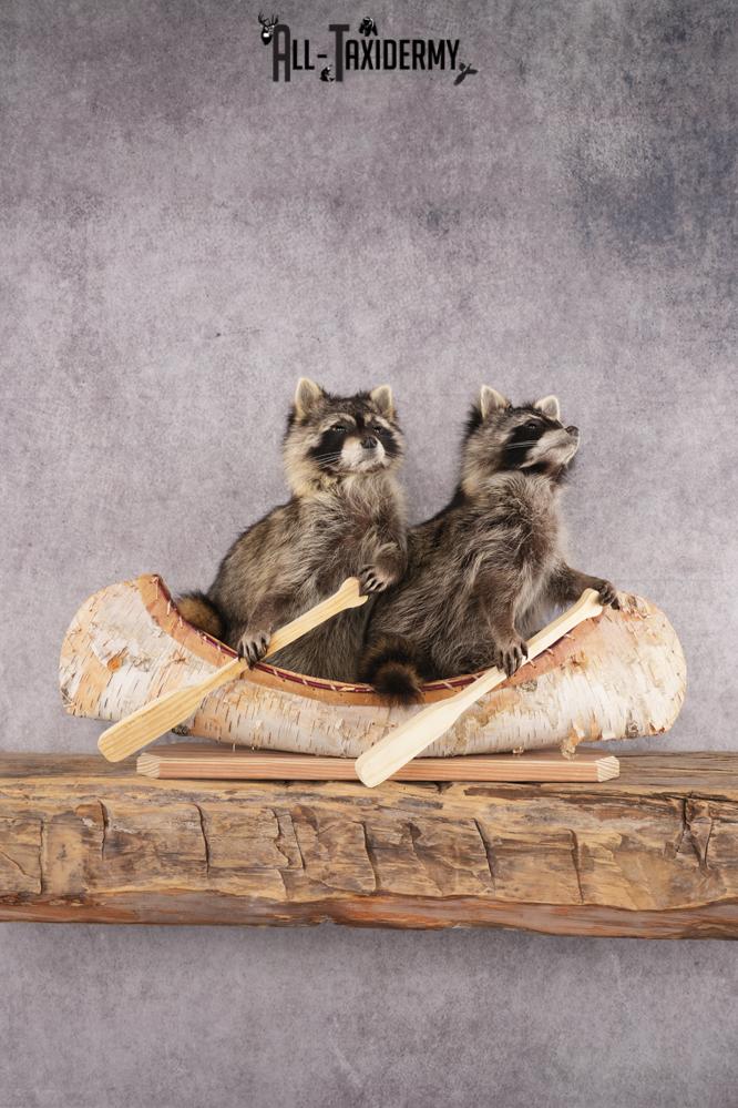 2 Raccoons in a Canoe SKU 3093