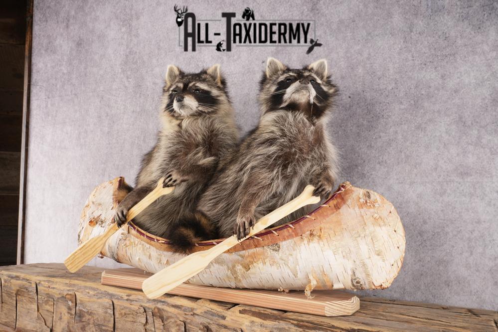2 Raccoons in a Canoe SKU 3093 - Image 5