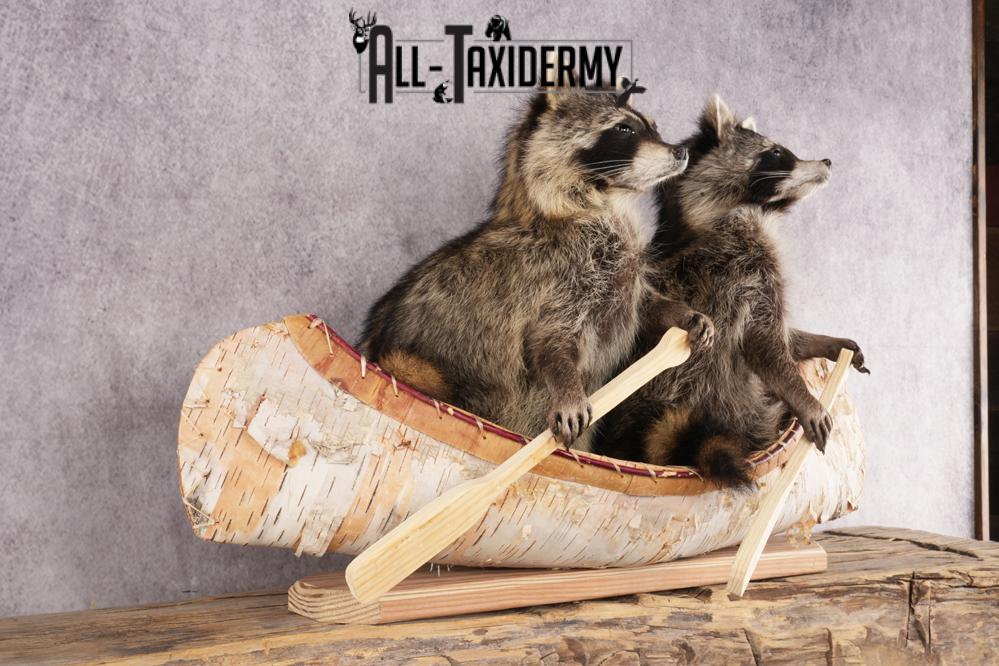 2 Raccoons in a Canoe SKU 3093 - Image 4