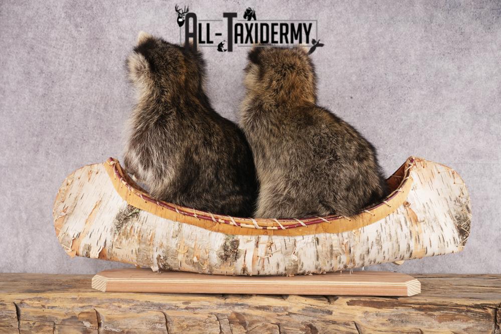 2 Raccoons in a Canoe SKU 3093 - Image 2