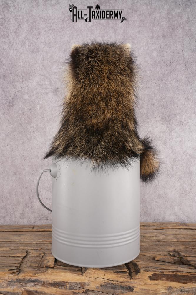 Raccoon in a Basket SKU 3044 - Image 3