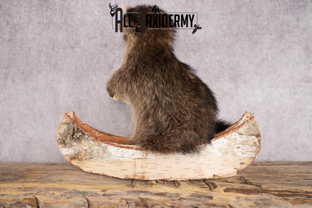 Raccoon in a Canoe SKU 3054 - Image 4