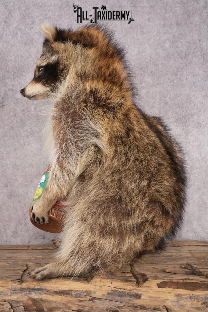 Peanut Butter Raccoon SKU 3051 - Image 4