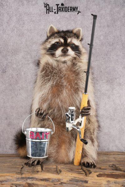 Fishing Raccoon SKU 3055