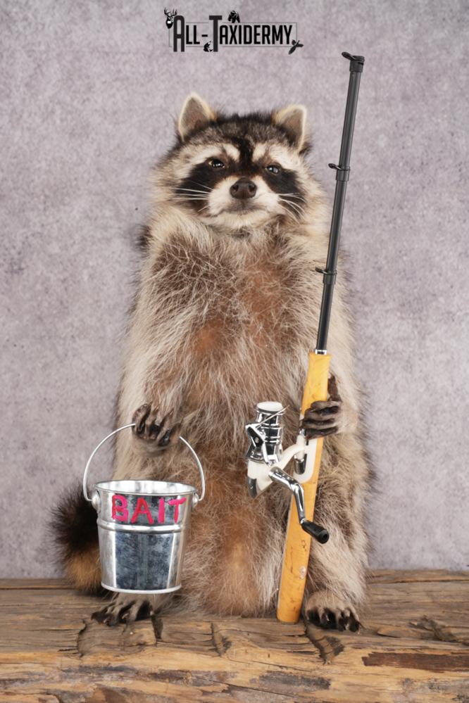 Fishing Raccoon SKU 3055