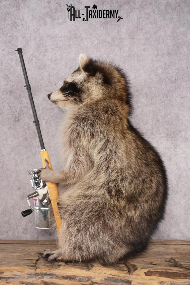Fishing Raccoon SKU 3055 - Image 3