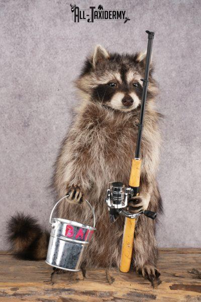 Fishing Raccoon SKU 3056