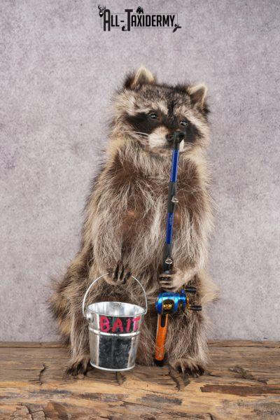 Fishing Raccoon SKU 3057