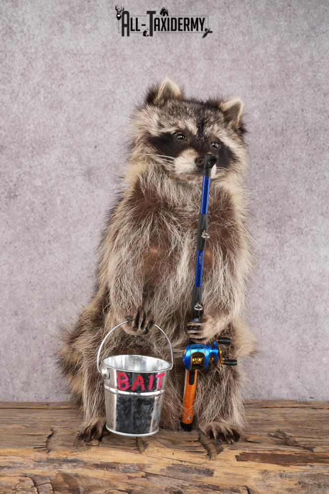 Fishing Raccoon SKU 3057