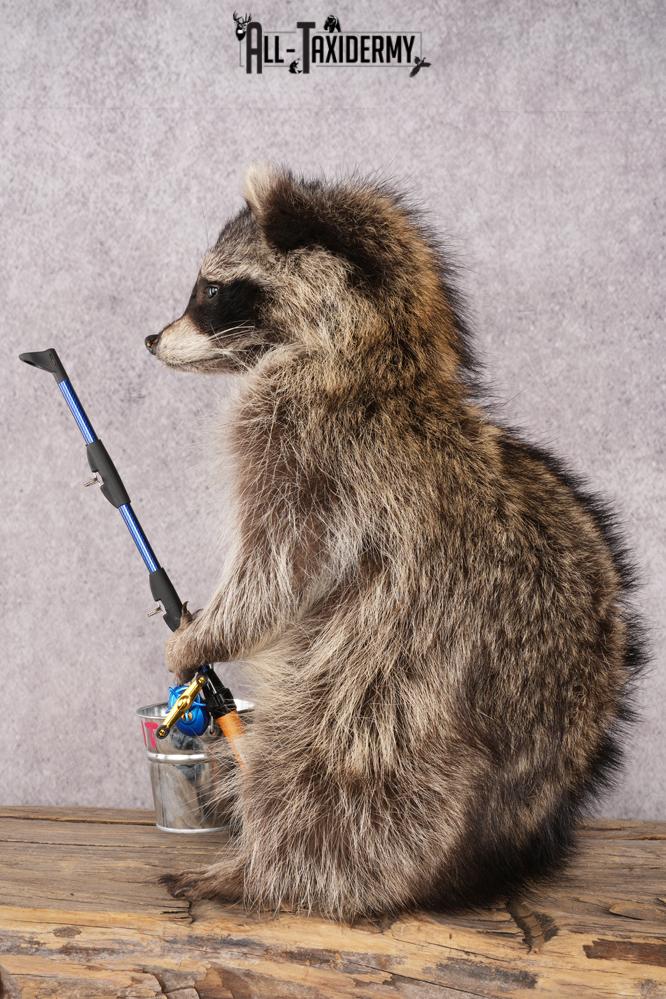 Fishing Raccoon SKU 3057 - Image 4