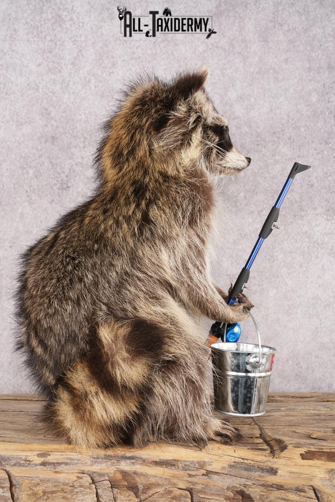 Fishing Raccoon SKU 3057 - Image 2