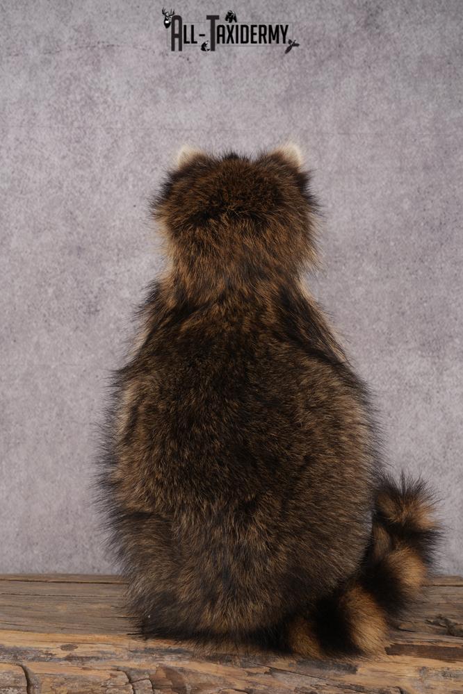 Goody Basket Raccoon SKU 3085 - Image 3