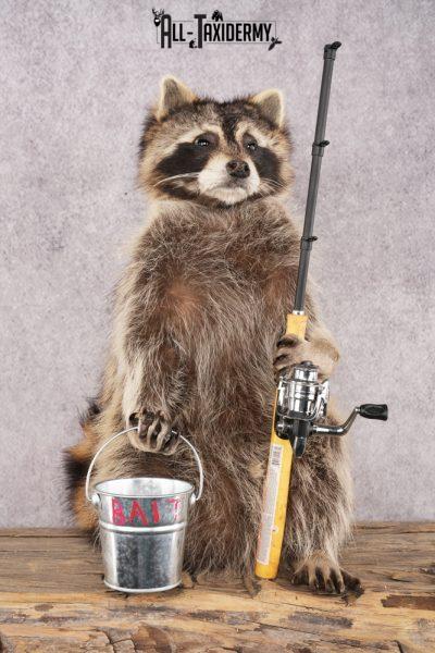 Fishing Raccoon SKU 3097