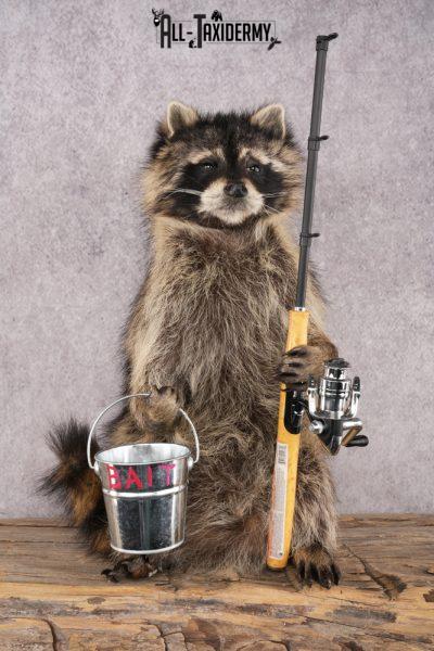 Fishing Raccoon SKU 3098
