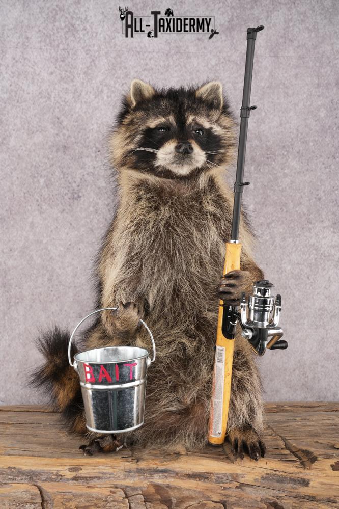 Fishing Raccoon SKU 3098
