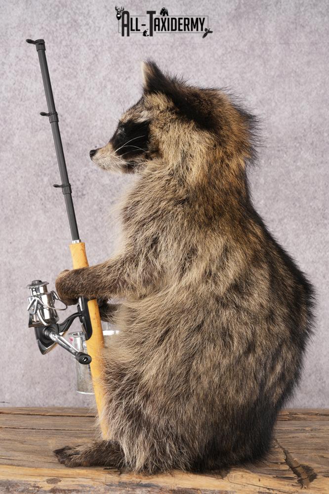 Fishing Raccoon SKU 3098 - Image 4