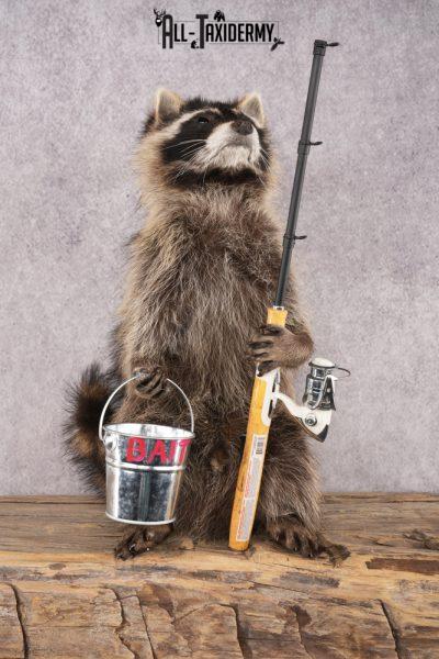 Fishing Raccoon SKU 3099