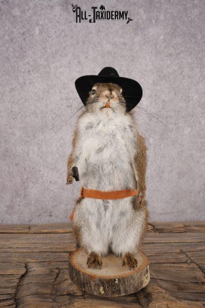 Cowboy Red Squirrel SKU 3126