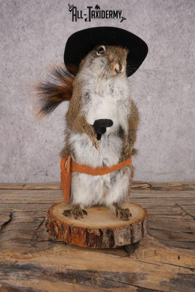 Cowboy Red Squirrel SKU 3123