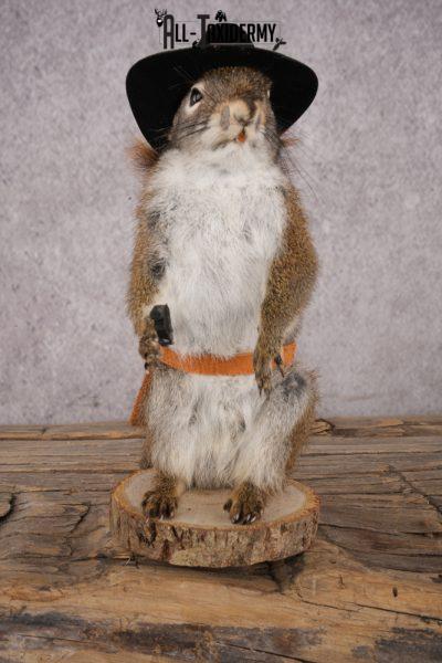 Cowboy Red Squirrel SKU 3127