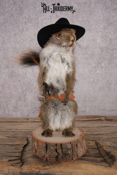 Cowboy Red Squirrel SKU 3128