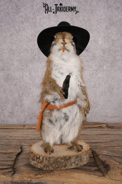 Cowboy Red Squirrel SKU 3124