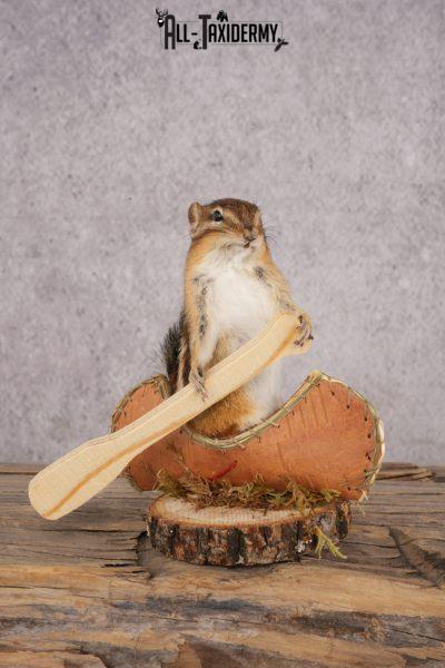Chipmunk in a Canoe SKU 3103