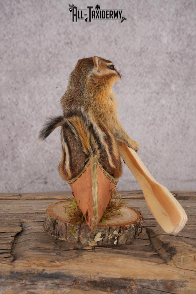 Chipmunk in a Canoe SKU 3103 - Image 2