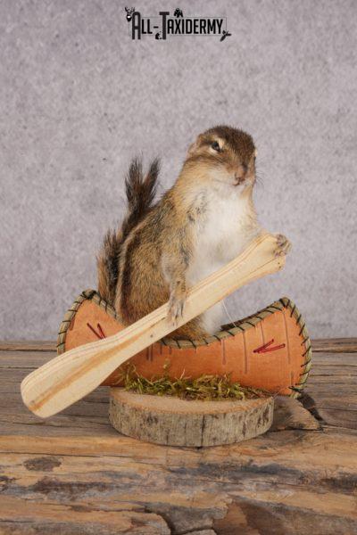 Chipmunk in a Canoe SKU 3104