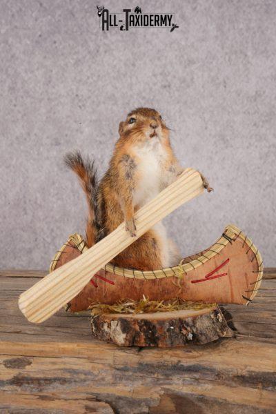 Chipmunk in a Canoe SKU 3105