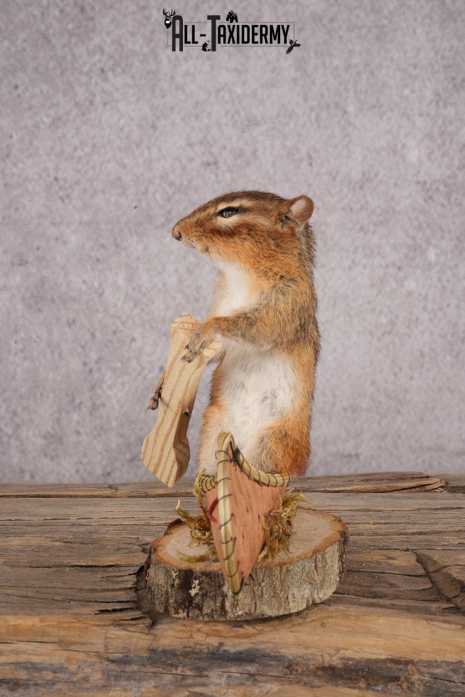 Chipmunk in a Canoe SKU 3105 - Image 4