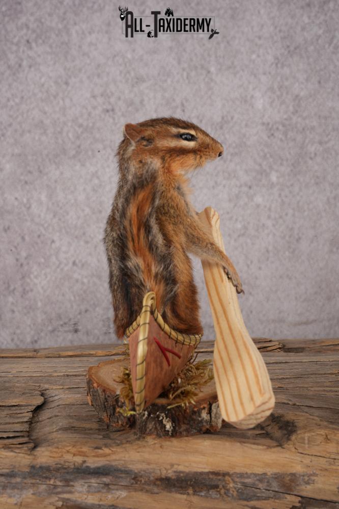 Chipmunk in a Canoe SKU 3105 - Image 2