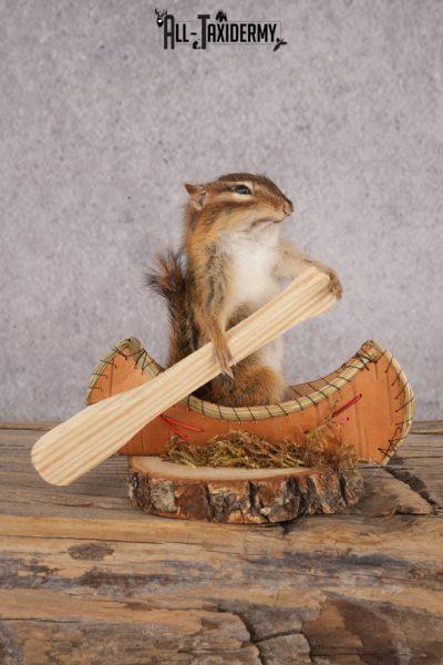 Chipmunk in a Canoe SKU 3106