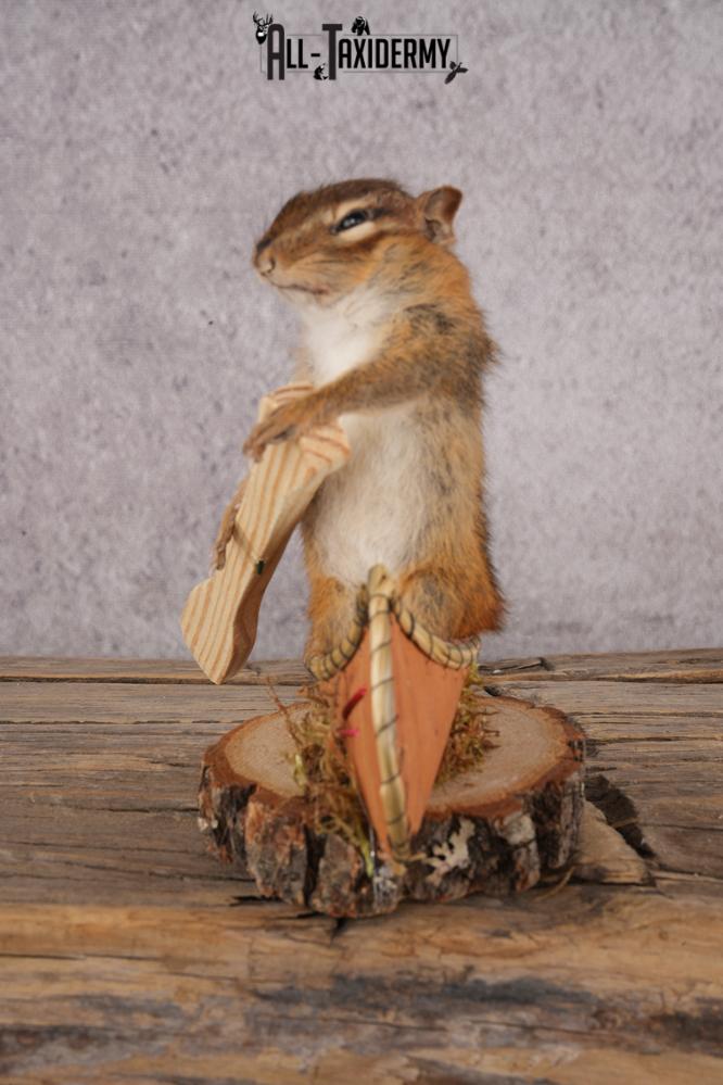 Chipmunk in a Canoe SKU 3106 - Image 4