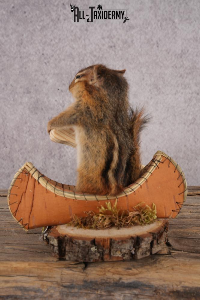 Chipmunk in a Canoe SKU 3106 - Image 3