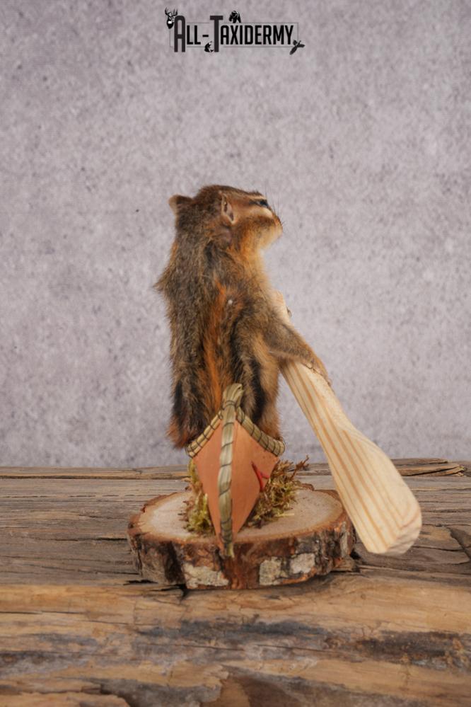 Chipmunk in a Canoe SKU 3106 - Image 2