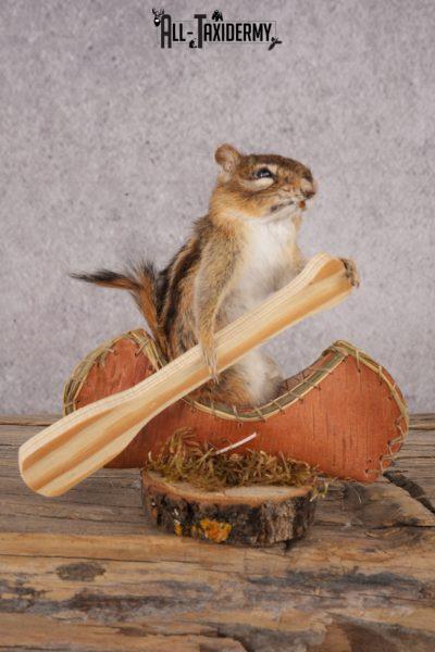 Chipmunk in a Canoe SKU 3107