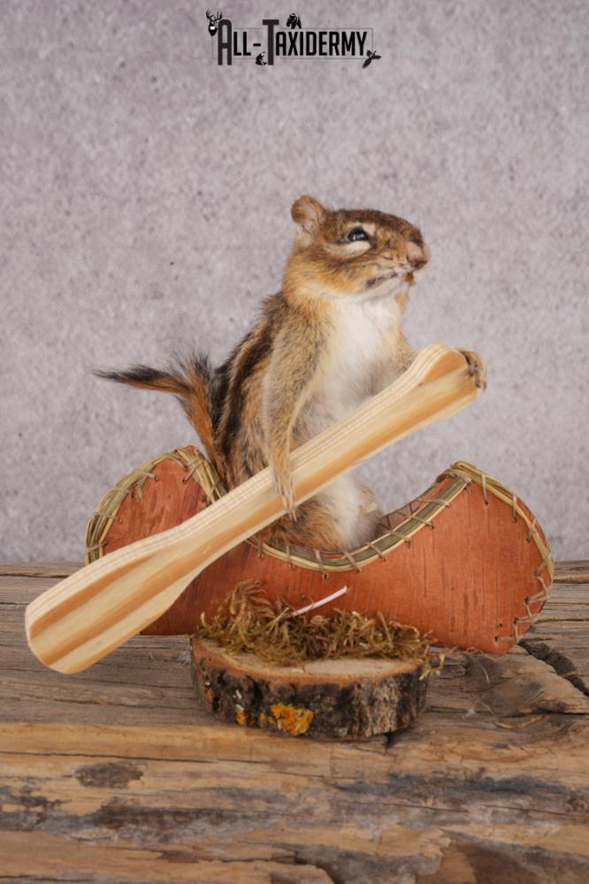 Chipmunk in a Canoe SKU 3107
