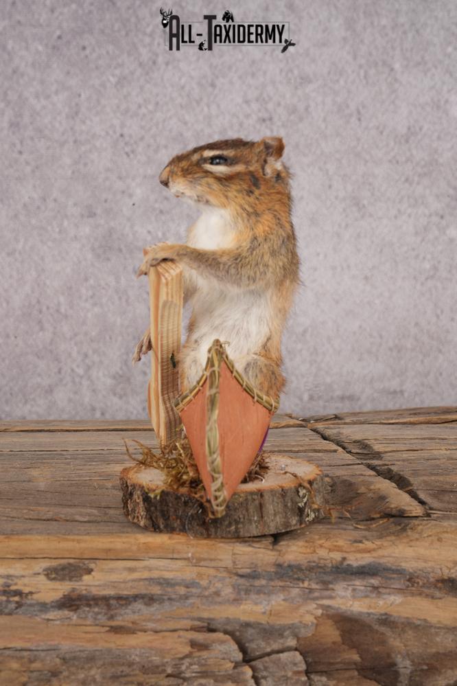 Chipmunk in a Canoe SKU 3107 - Image 4
