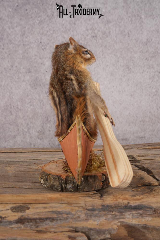 Chipmunk in a Canoe SKU 3107 - Image 2