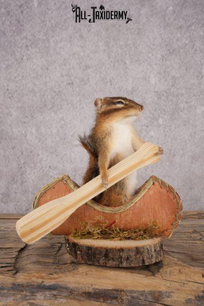 Chipmunk in a Canoe SKU 3108