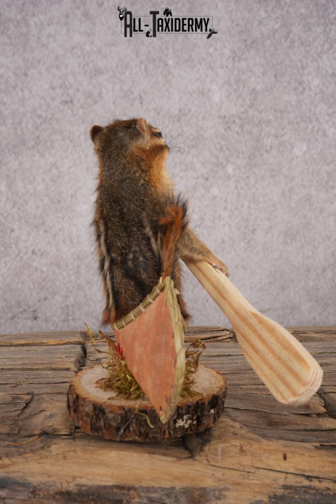 Chipmunk in a Canoe SKU 3108 - Image 2