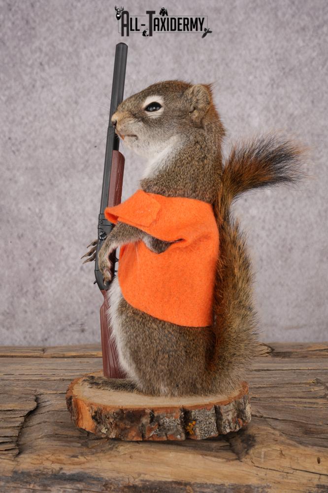 Hunting Red Squirrel SKU 3130 - Image 4