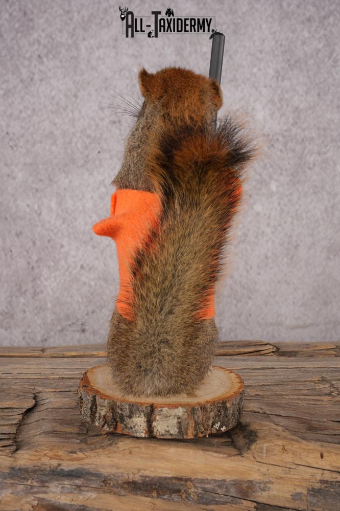 Hunting Red Squirrel SKU 3130 - Image 3