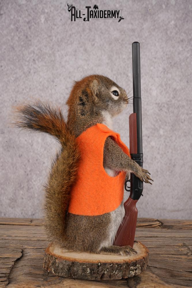 Hunting Red Squirrel SKU 3130 - Image 2