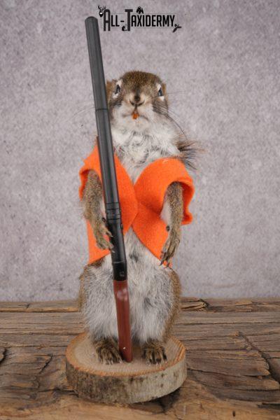 Hunting Red Squirrel SKU 3132