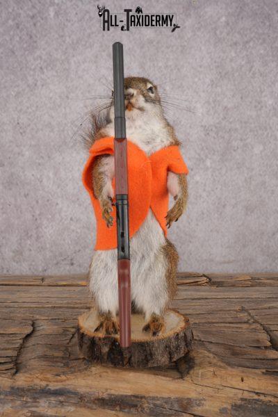 Hunting Red Squirrel SKU 3133