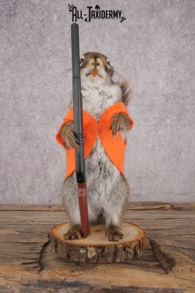 Hunting Red Squirrel SKU 3134